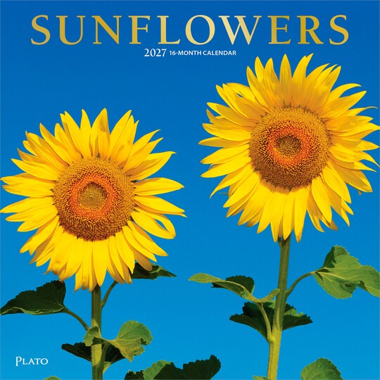 Plato; Sunflowers | 2027 12 x 24 Inch (Hanging) Monthly Square Wall Calendar | Foil Stamped Cover; Category:Wall Calendars; Image:1